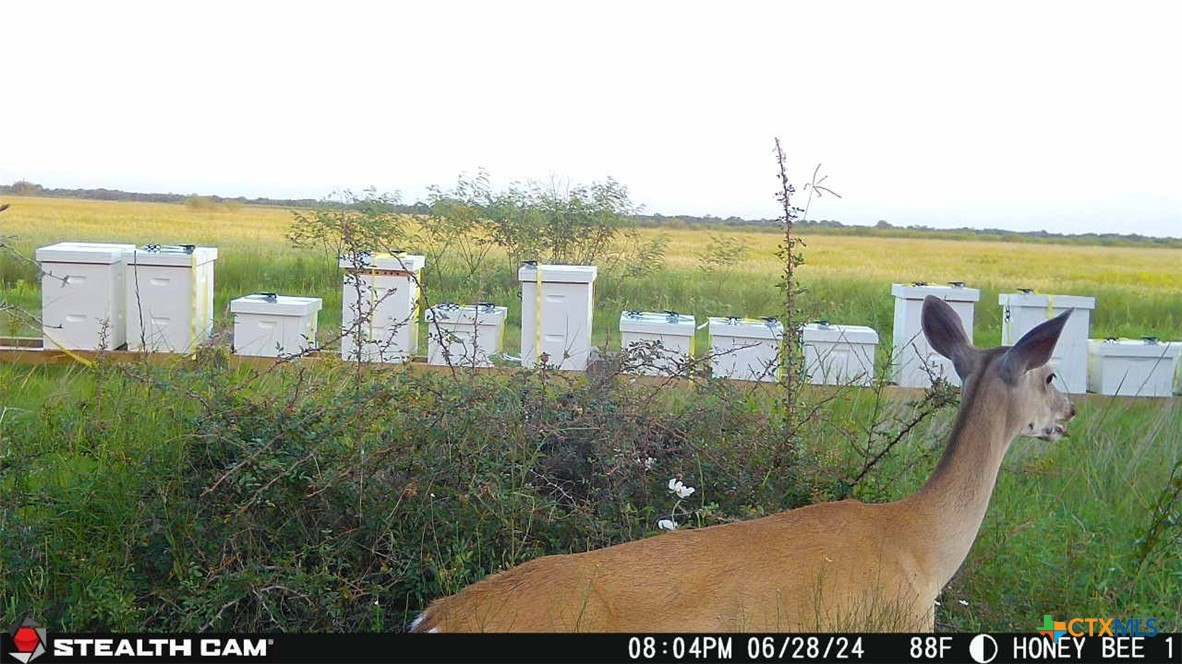 000 County Road 18 20.49 Acres Tract 1 Property Photo 2