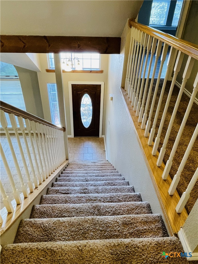 6 Kirkwood Cove Property Photo 15