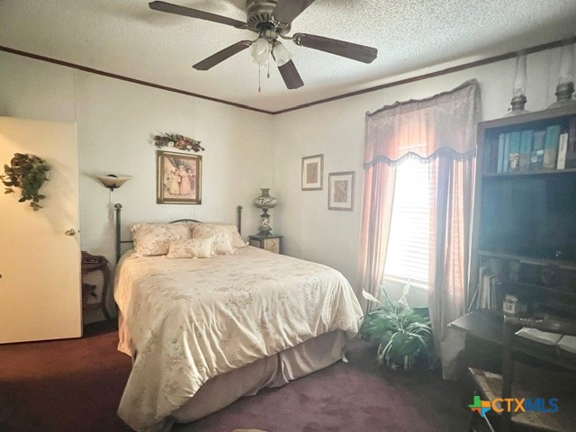 1037 Noll Road Property Photo 21