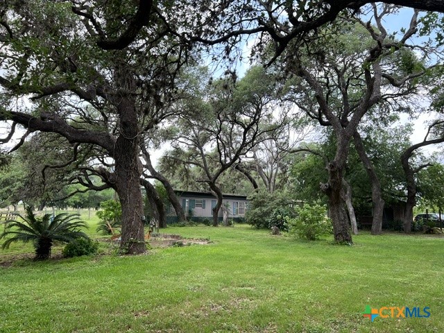 1037 Noll Road Property Photo 32