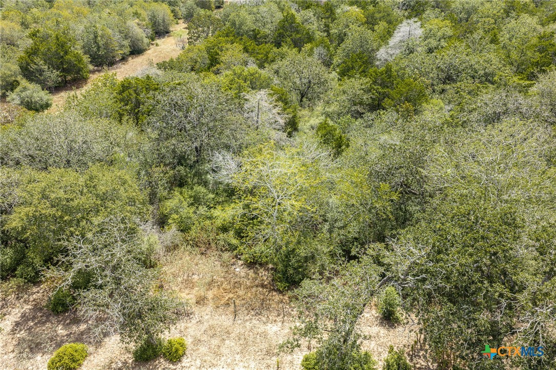 2195 Mule Creek Road Property Photo 30