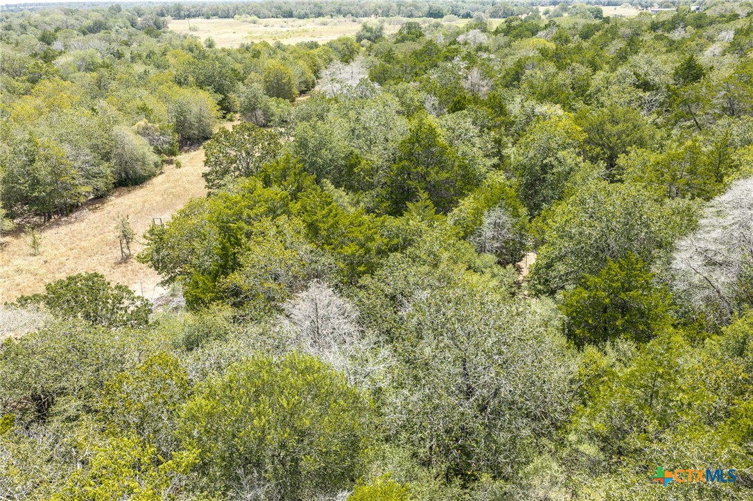 2195 Mule Creek Road Property Photo 31