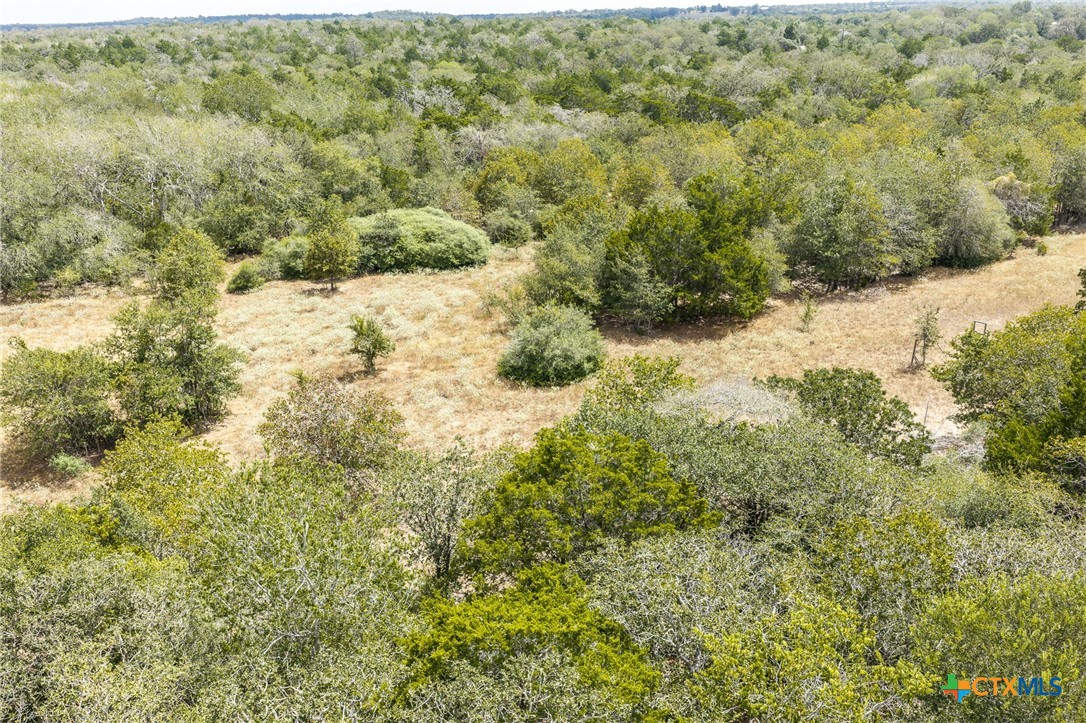 2195 Mule Creek Road Property Photo 32