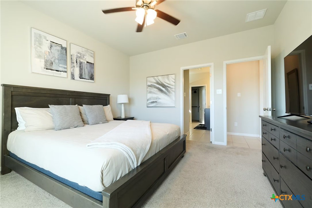 3707 Mccleland Creek Trail Property Photo 6