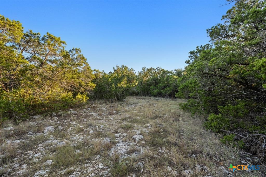 2701 Alpine Trail Property Photo 9