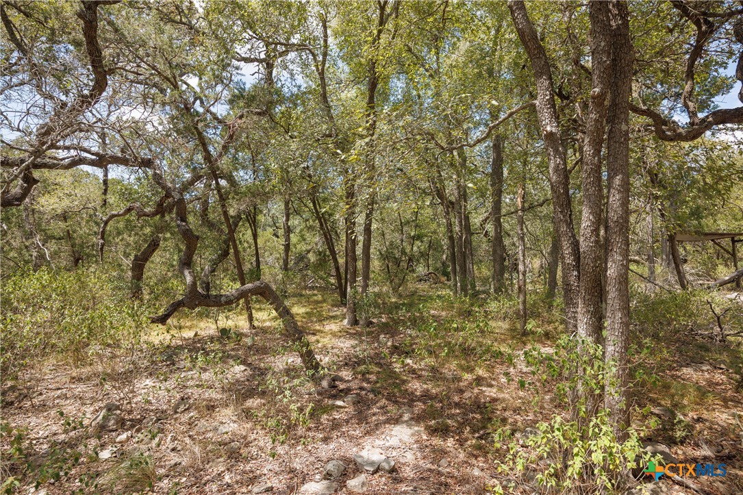 2701 Alpine Trail Property Photo 13