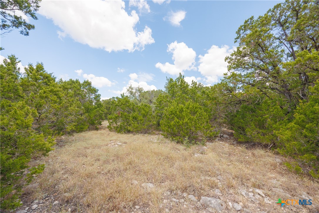 2701 Alpine Trail Property Photo 14