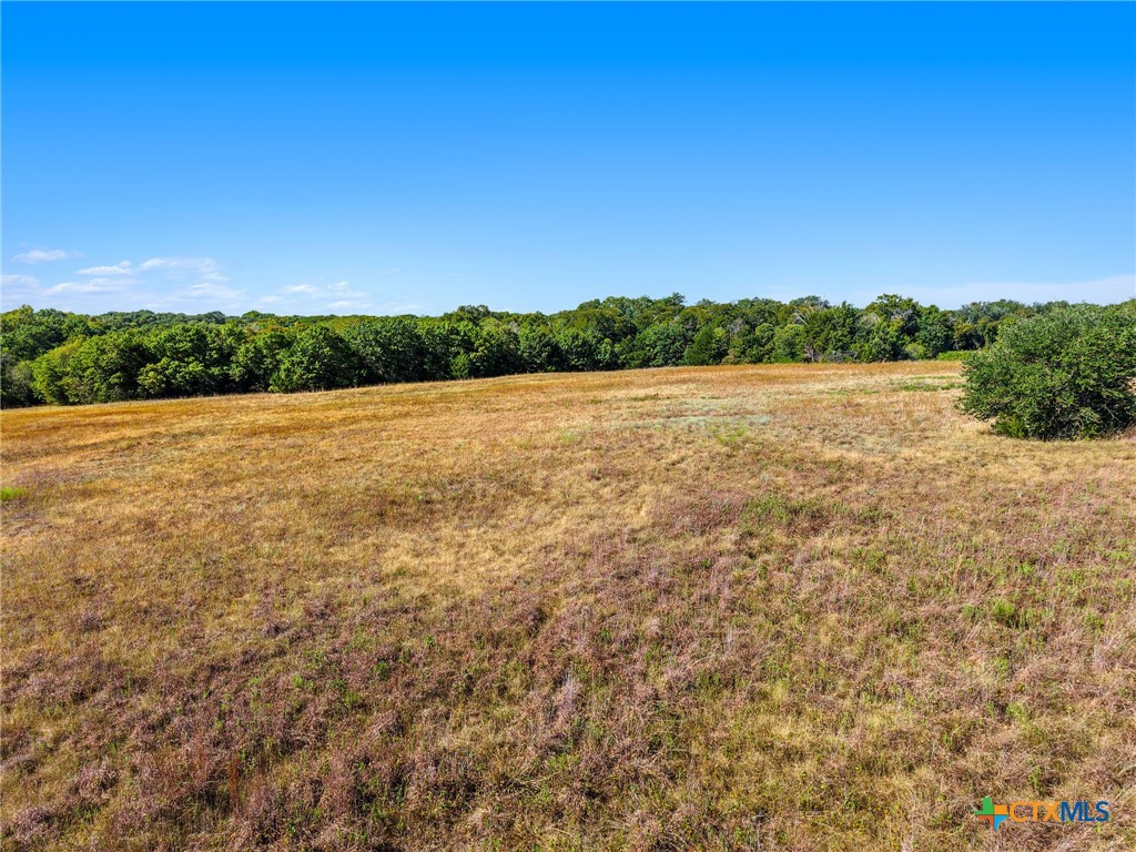 470 Oak Mott Road Property Photo 6