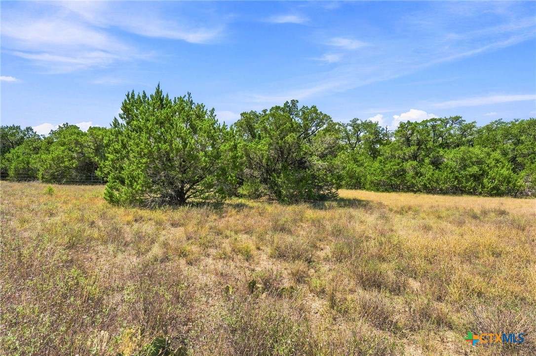 Tbd Lot 2 (10.68 Ac) Lipan Run Property Photo 1