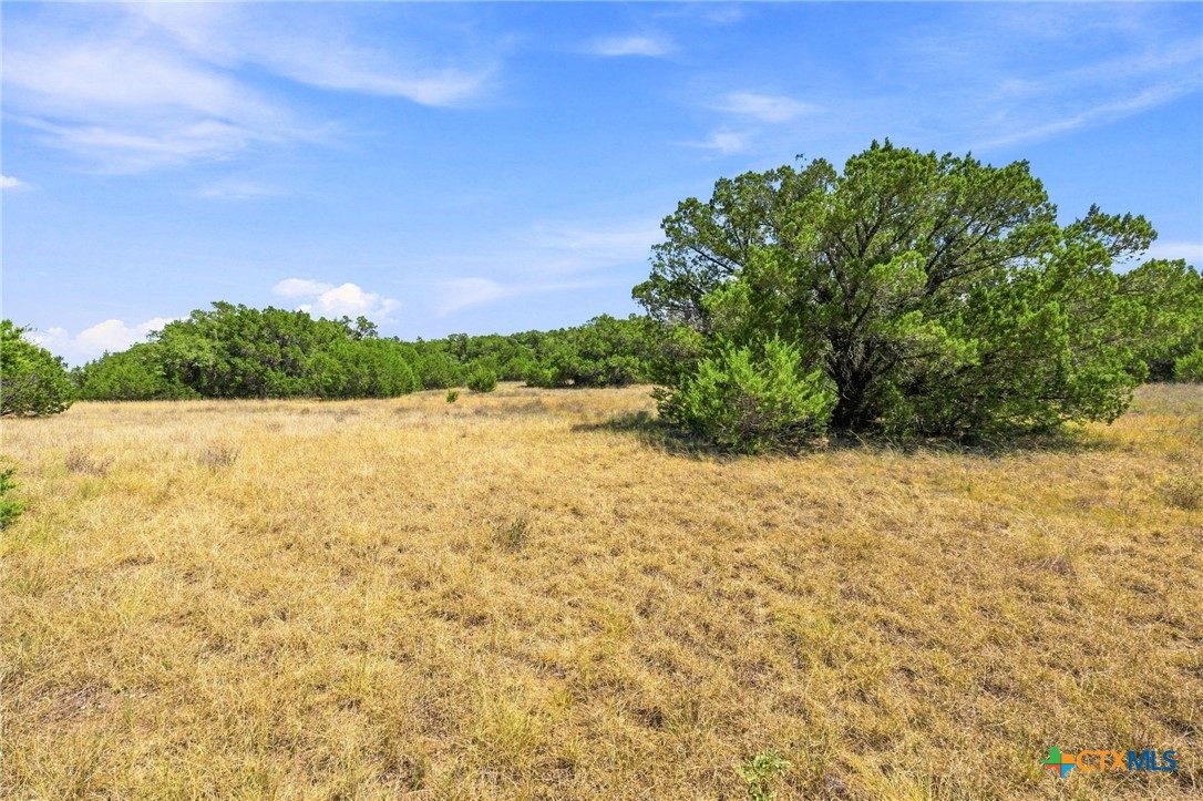 Tbd Lot 2 (10.68 Ac) Lipan Run Property Photo 2
