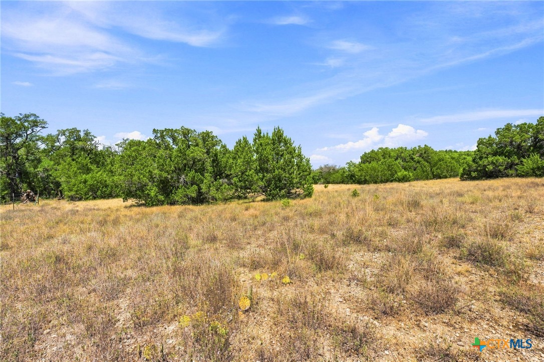 Tbd Lot 2 (10.68 Ac) Lipan Run Property Photo 3