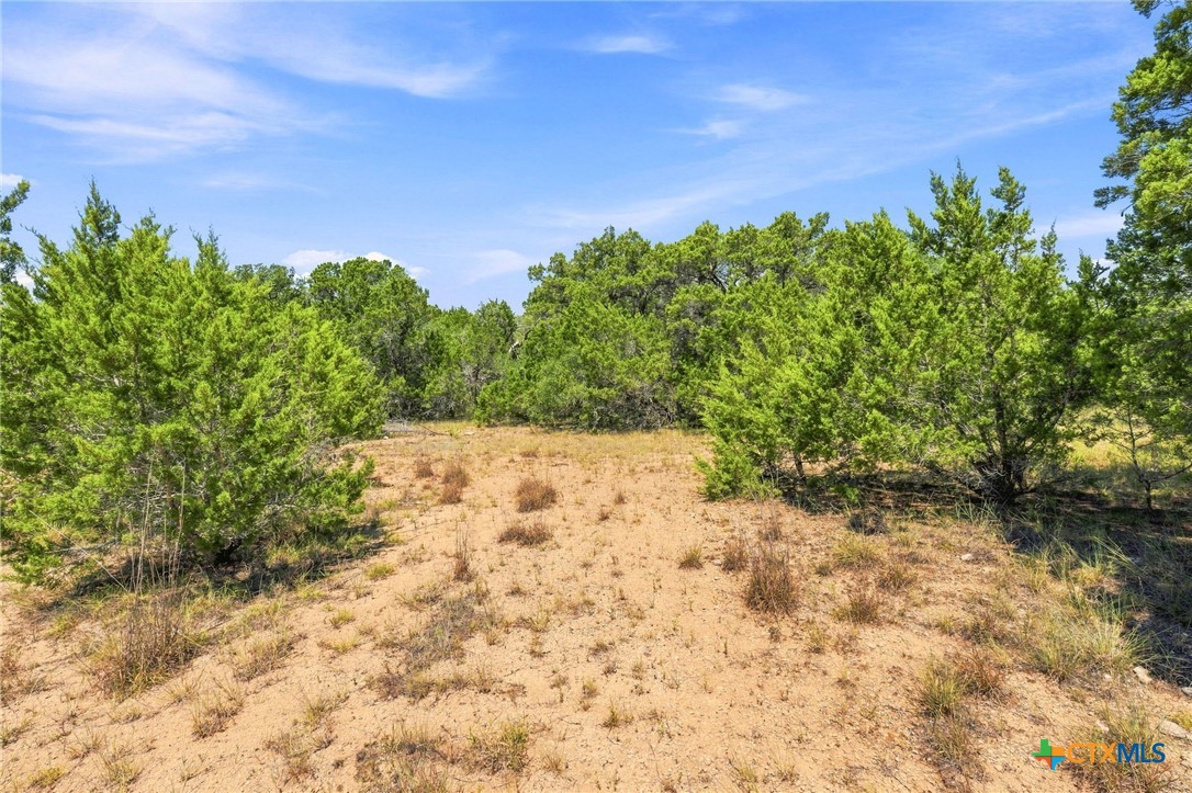 Tbd Lot 2 (10.68 Ac) Lipan Run Property Photo 6