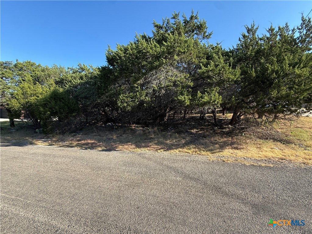15920 Brazos Drive Property Photo 2