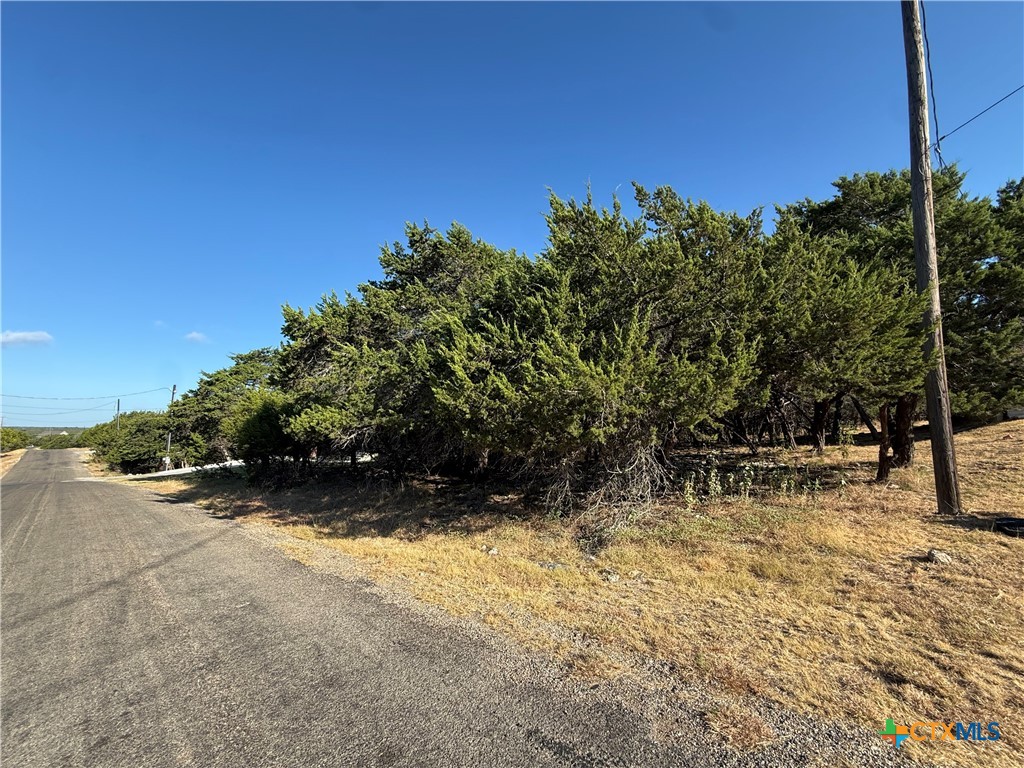 15920 Brazos Drive Property Photo 3