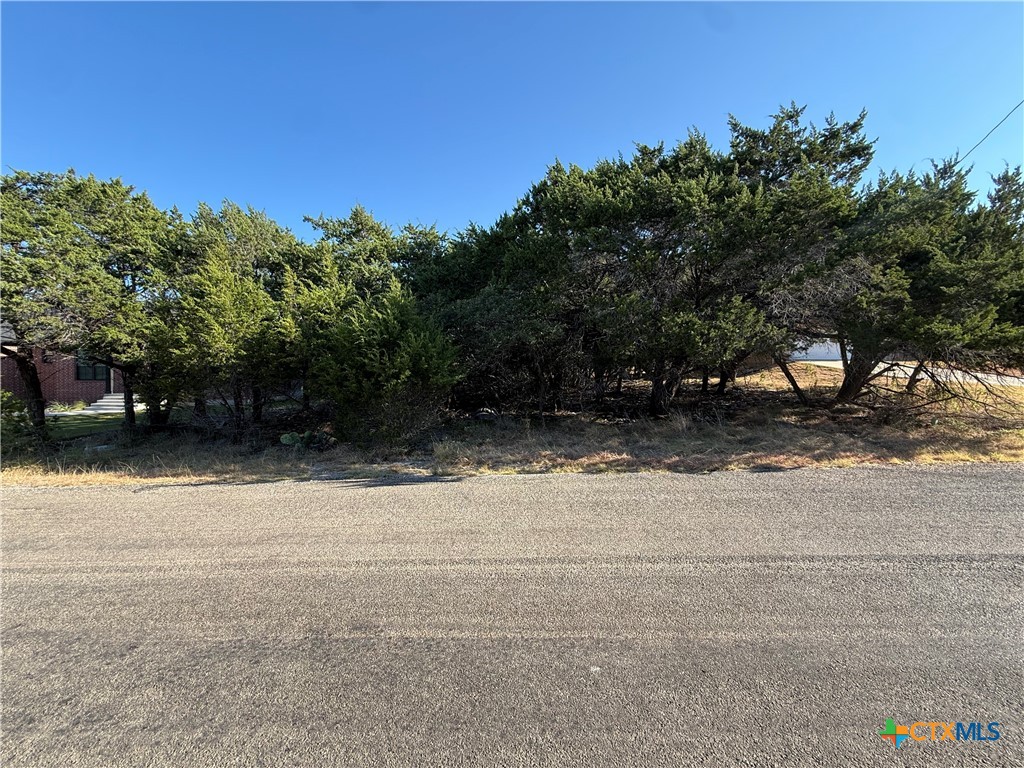 15920 Brazos Drive Property Photo 4