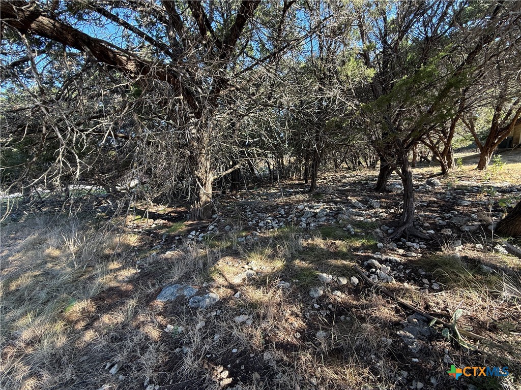 15920 Brazos Drive Property Photo 5