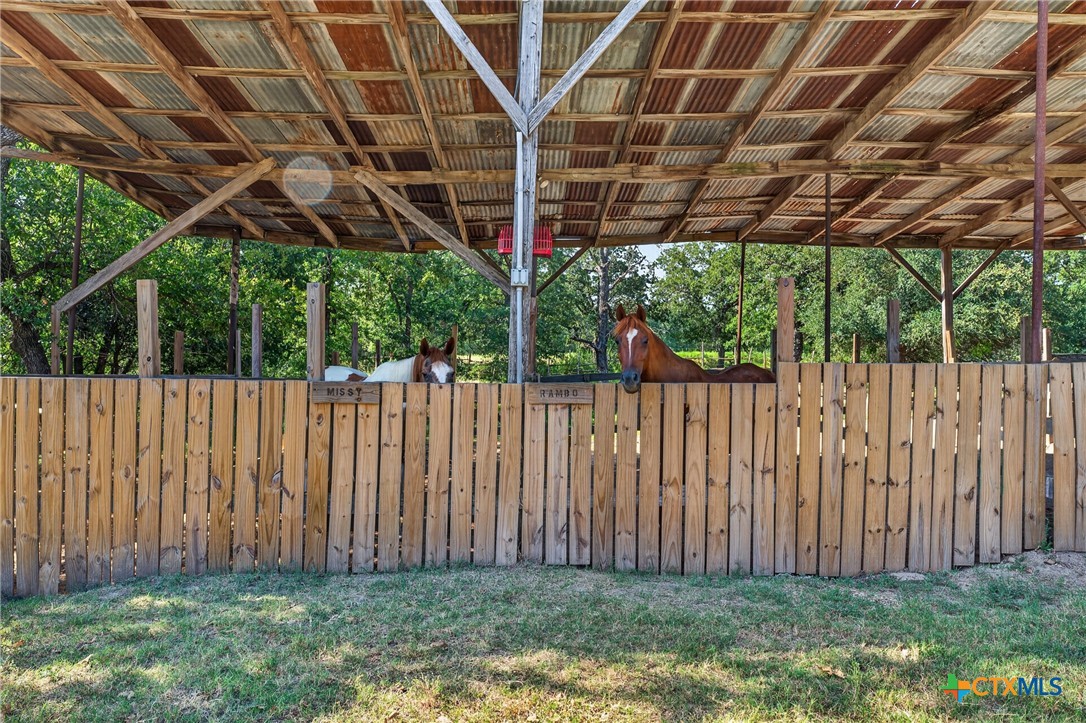 2274 County Road 203 Loop Property Photo 9