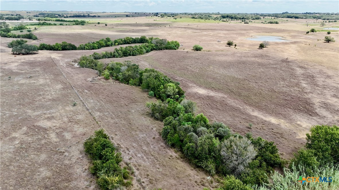 Tract 2 County Road 366 Property Photo 2