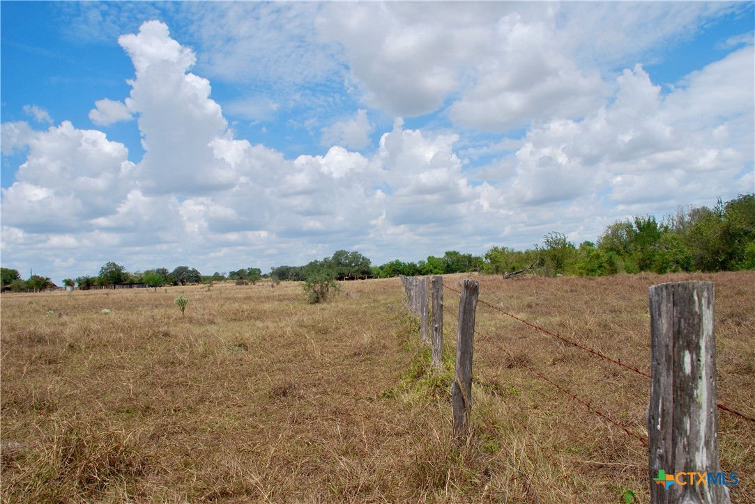 Tract 2 County Road 366 Property Photo 3
