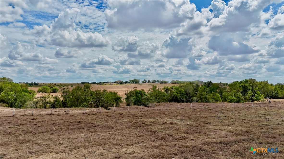 Tract 2 County Road 366 Property Photo 6