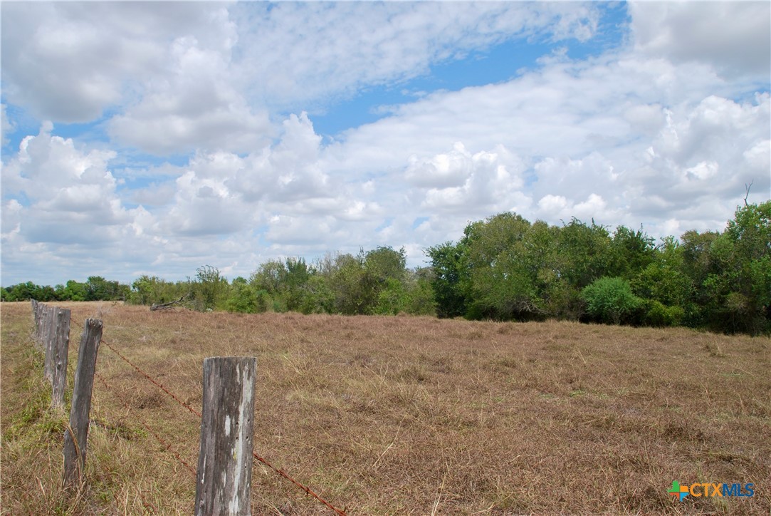 Tract 2 County Road 366 Property Photo 10