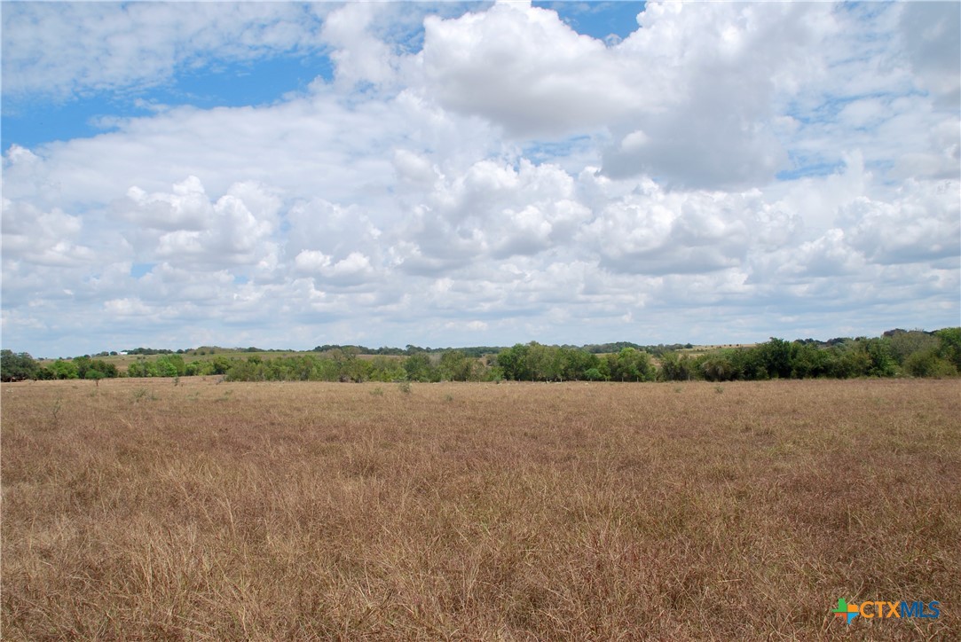Tract 2 County Road 366 Property Photo 14