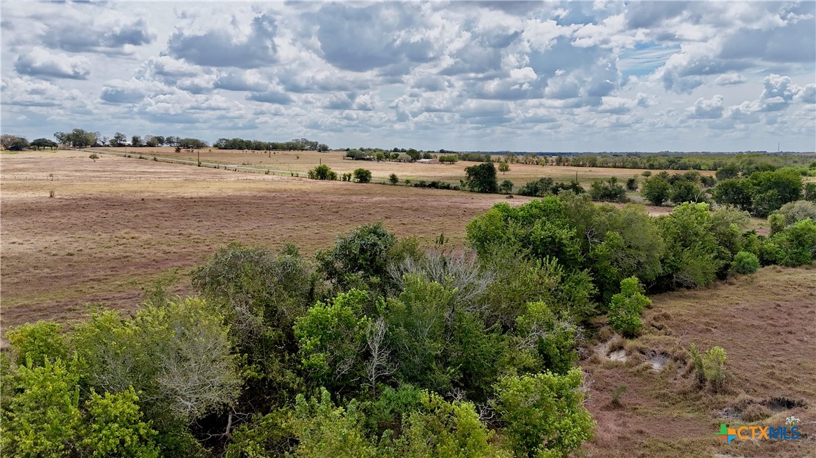 Tract 2 County Road 366 Property Photo 15
