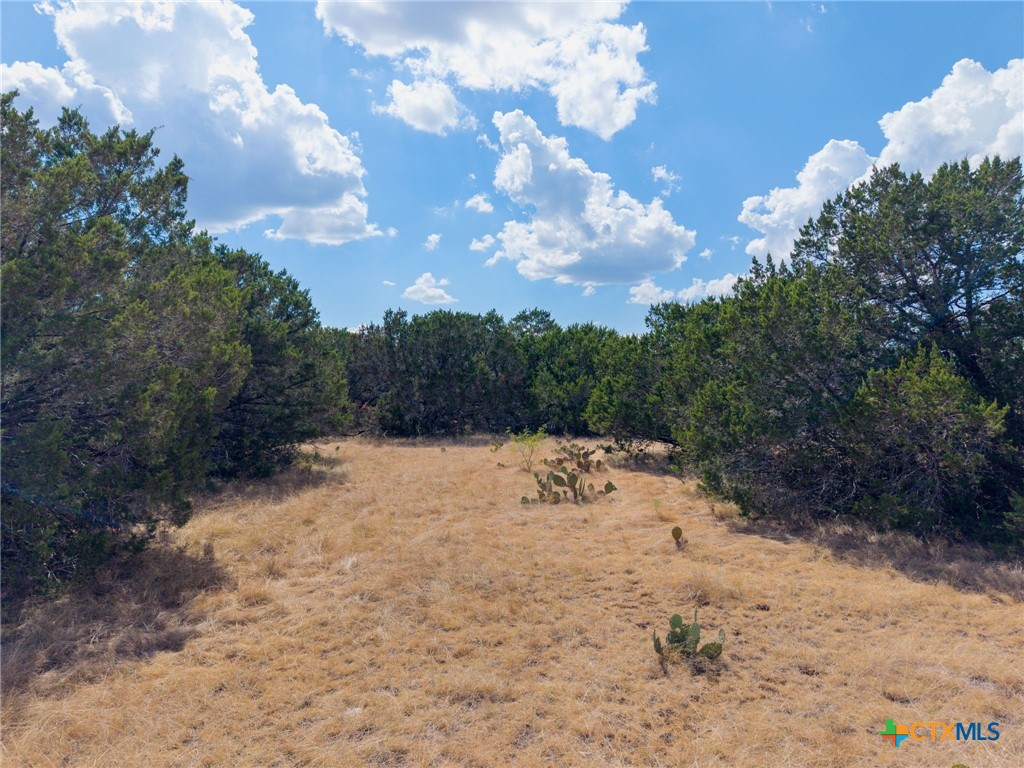 Tbd Lot 50 Cr 104 Property Photo 6