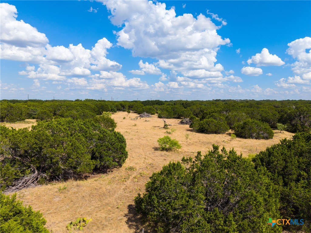 Tbd Lot 50 Cr 104 Property Photo 8