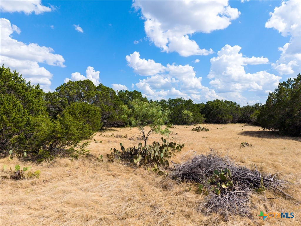 Tbd Lot 50 Cr 104 Property Photo 9