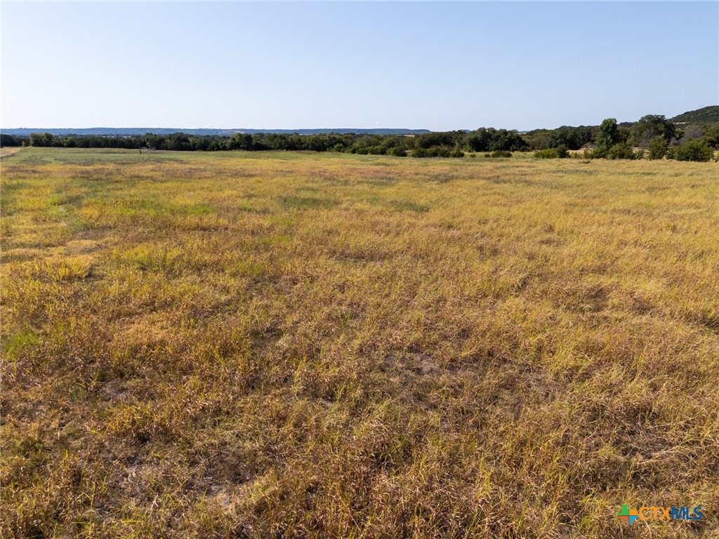 Tbd 15 Acres County Road 4120 Property Photo 17