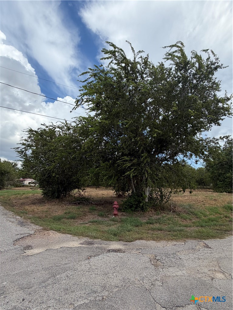 502 E Houston Street Property Photo 3