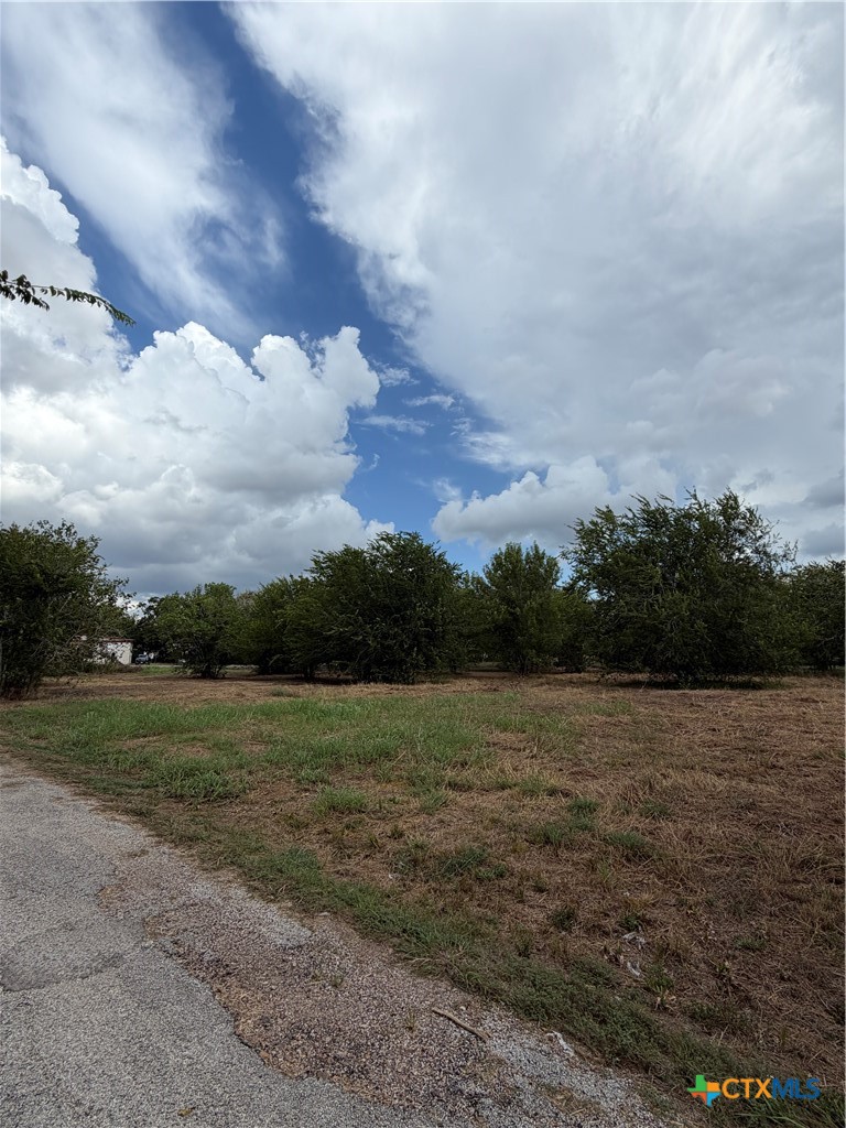 502 E Houston Street Property Photo 5