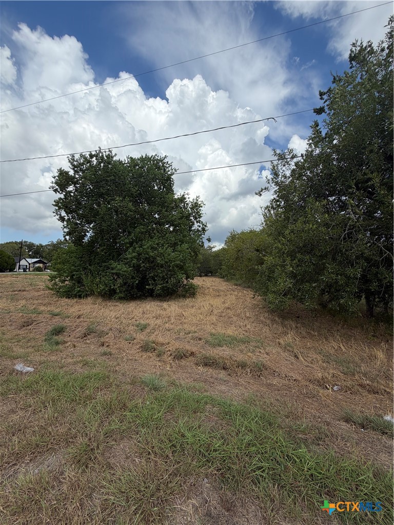 502 E Houston Street Property Photo 6