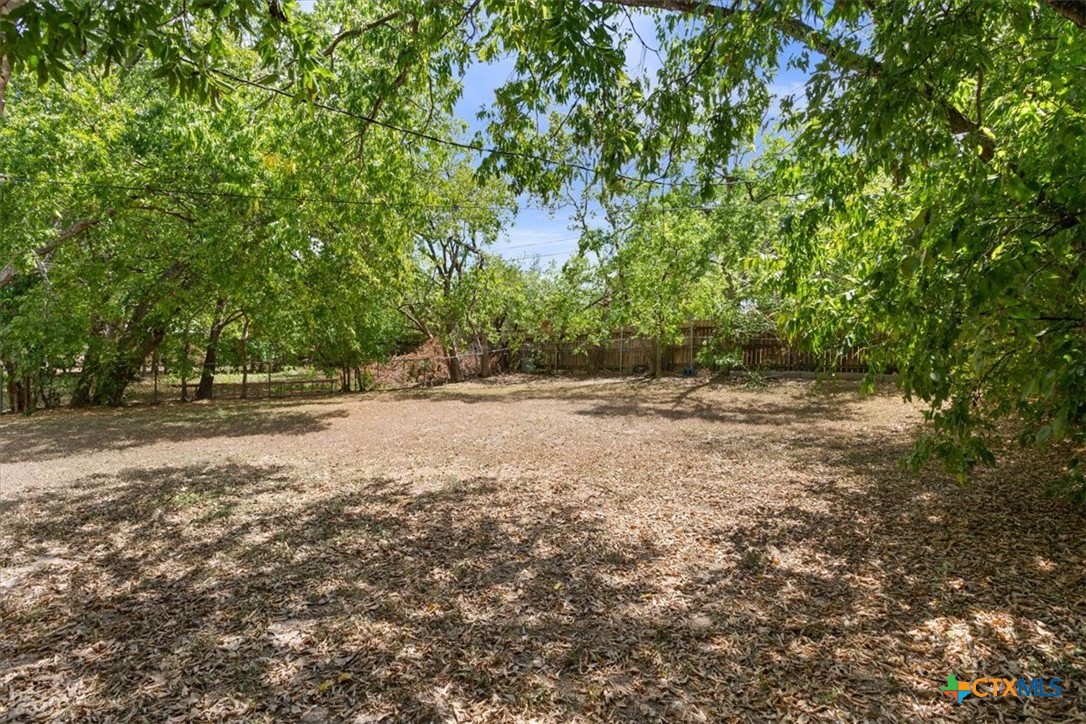 204 E Fowler Avenue Property Photo 31
