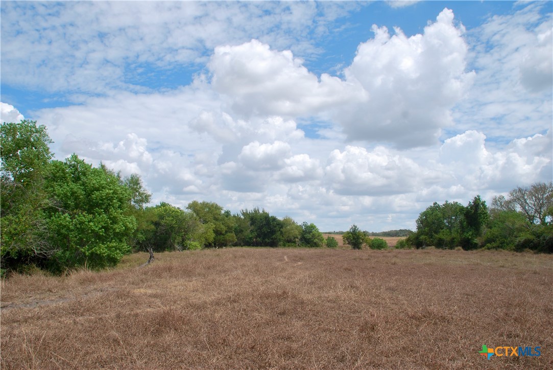 Tract 3 County Road 366 Property Photo 16