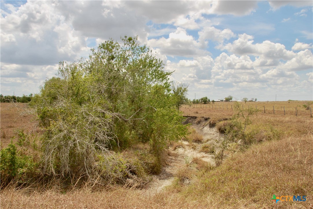 Tract 3 County Road 366 Property Photo 18