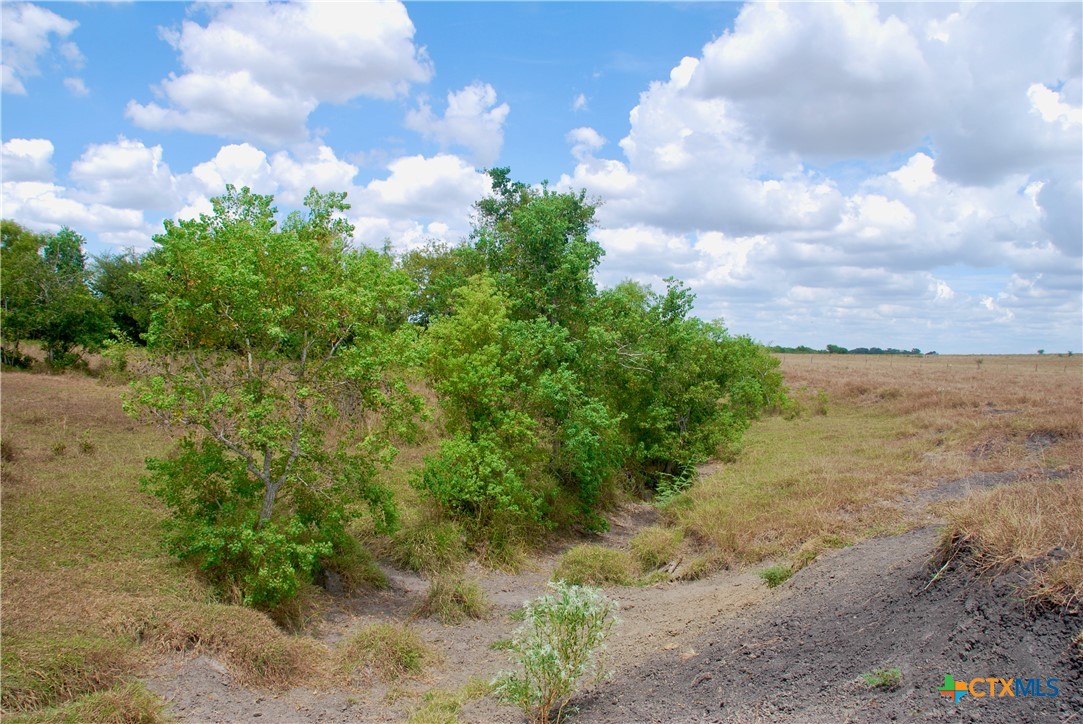 Tract 3 County Road 366 Property Photo 23
