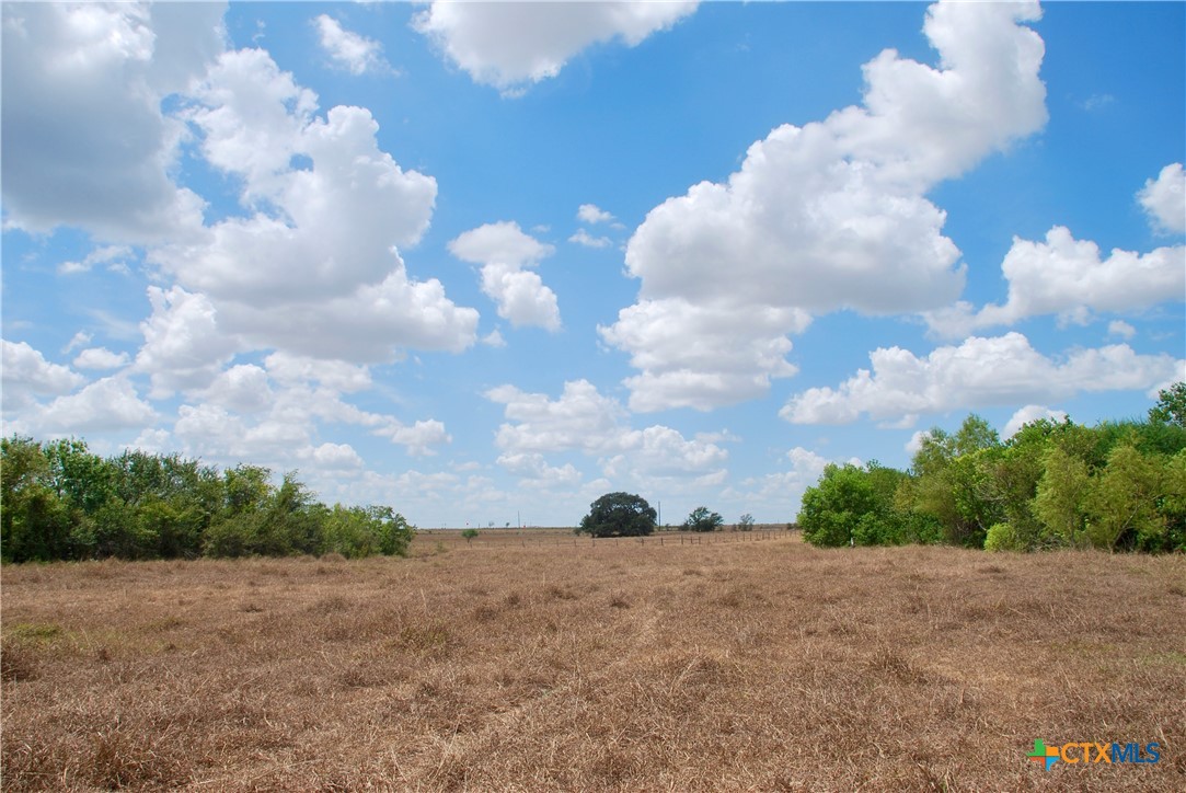 Tract 3 County Road 366 Property Photo 30
