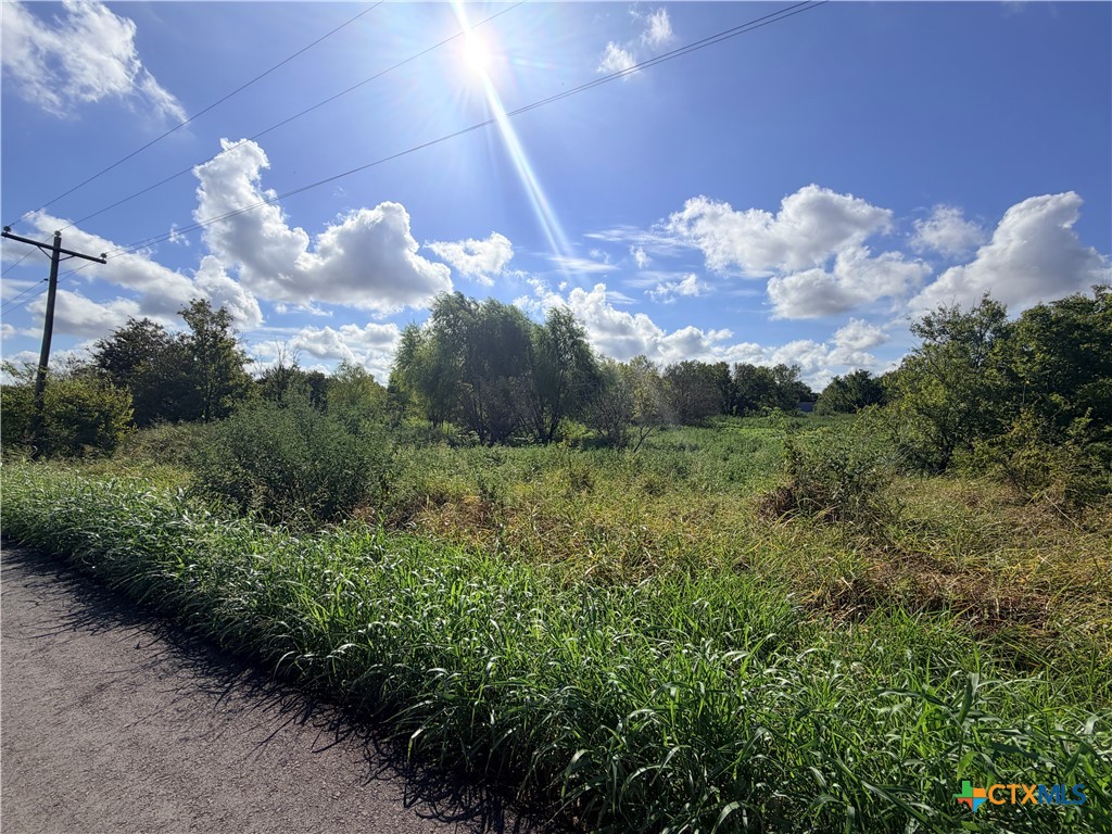 Tbd County Road 133 Lot 2 Property Photo 7