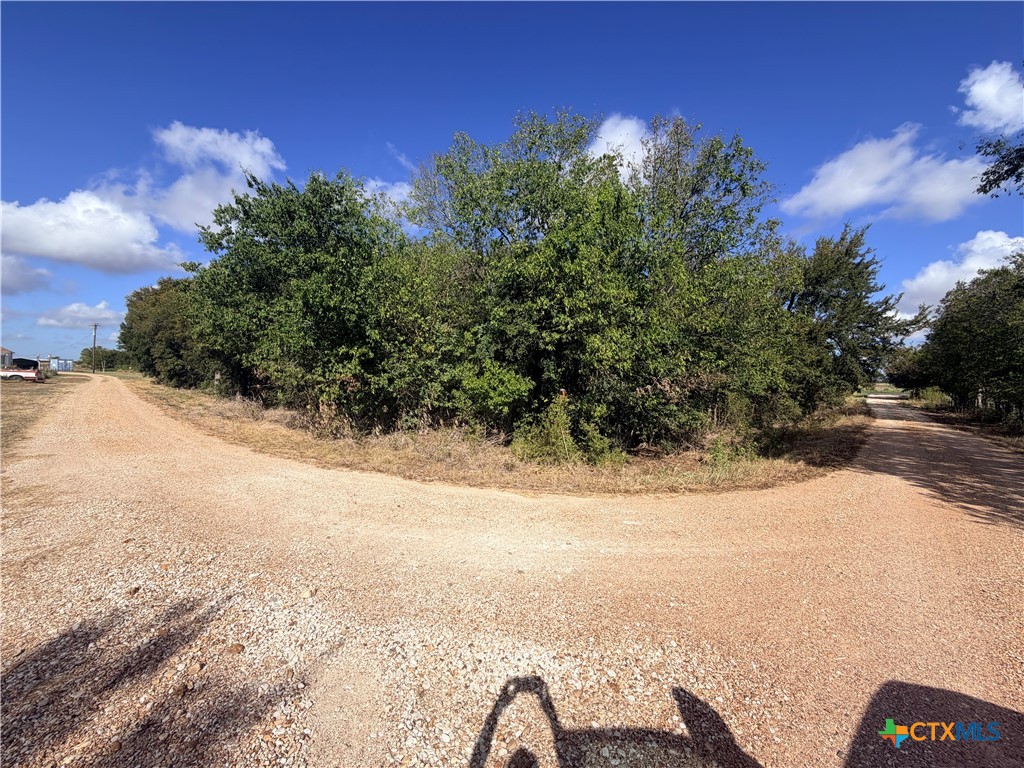 Tbd County Road 133 Lot 2 Property Photo 10