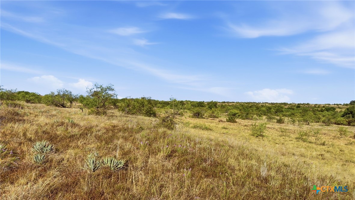 Lot 46 Twisted Creek Ranch Property Photo 11