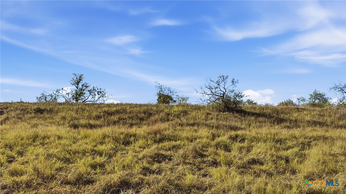 Lot 46 Twisted Creek Ranch Property Photo 12