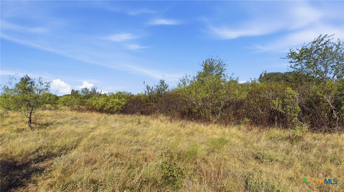 Lot 46 Twisted Creek Ranch Property Photo 15