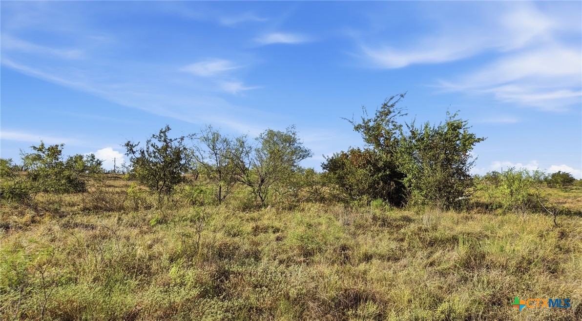 Lot 46 Twisted Creek Ranch Property Photo 16