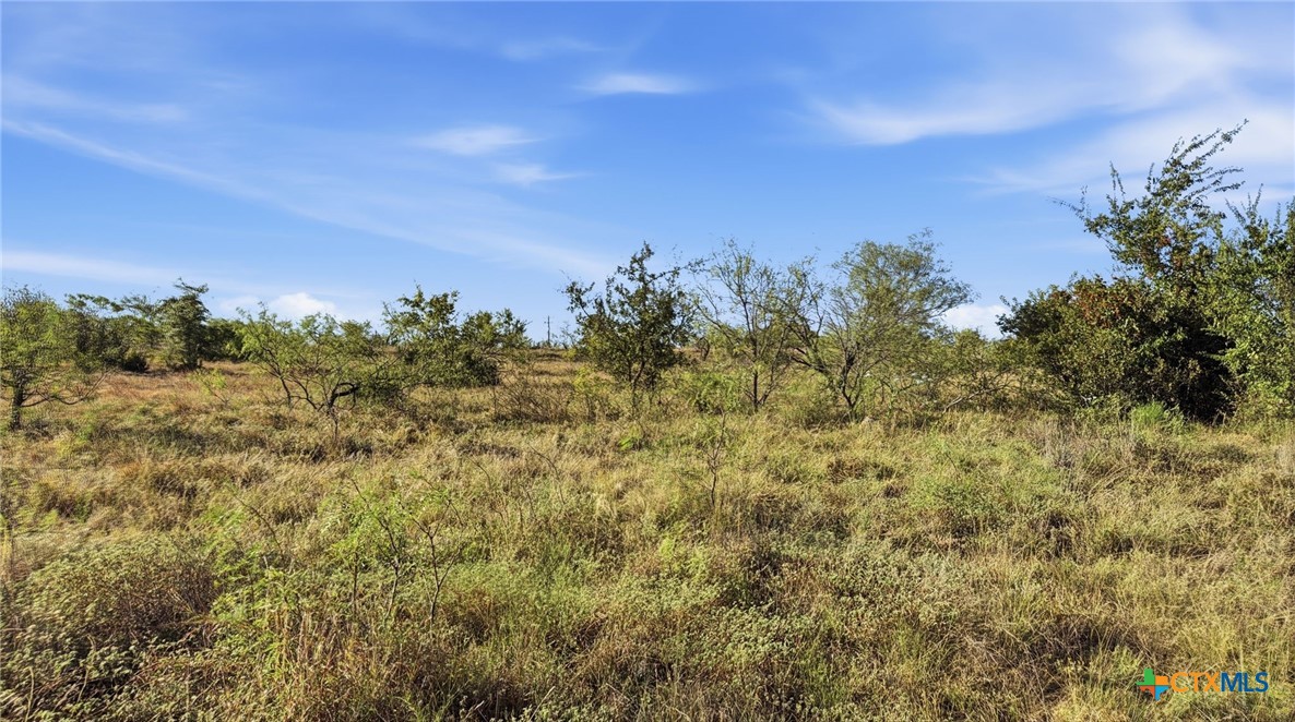 Lot 46 Twisted Creek Ranch Property Photo 17