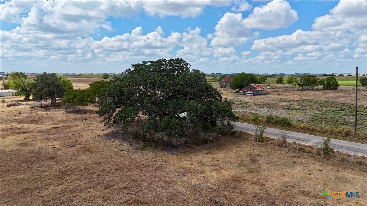 Tract 4 County Road 366 Property Photo 6