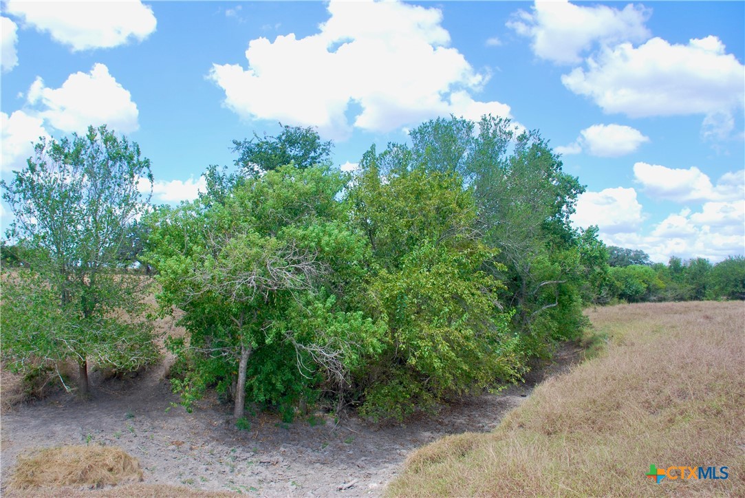 Tract 4 County Road 366 Property Photo 12