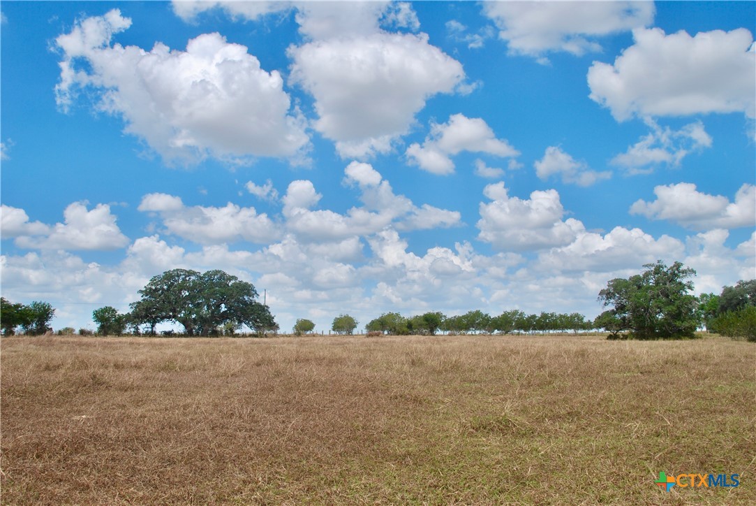 Tract 4 County Road 366 Property Photo 13