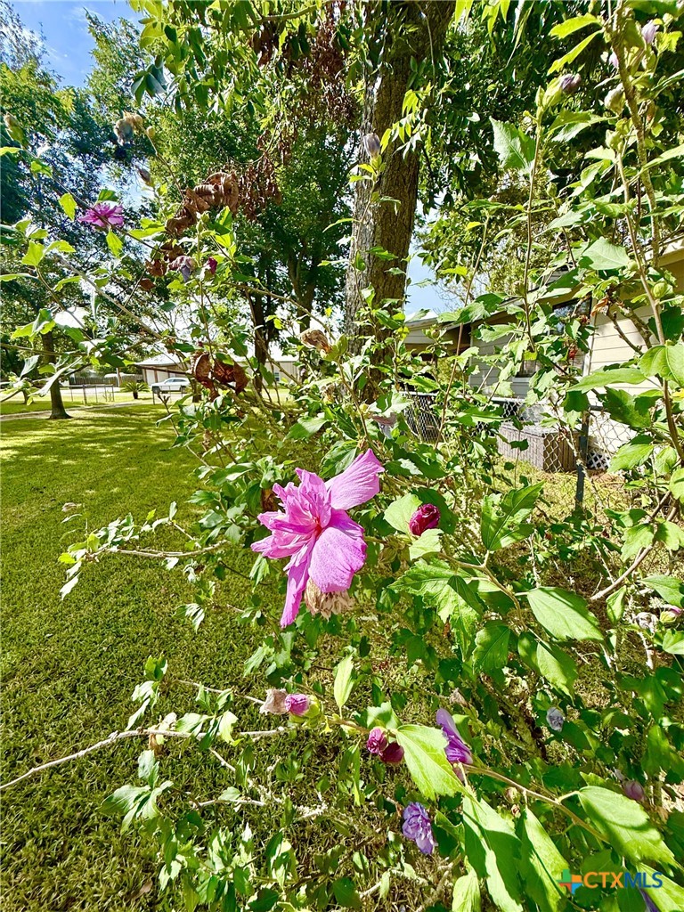 406 E Tres Palacios Avenue Property Photo 42